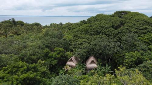 two huts in the middle of a forest of trees at Isla Fuerte Eco House in Isla Fuerte