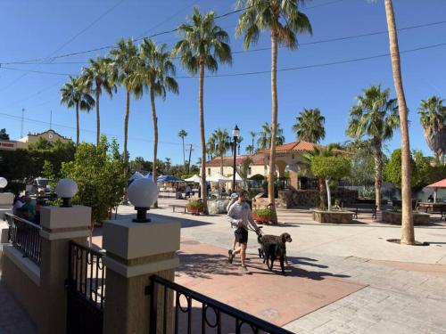 a man walking a dog on a sidewalk at Loft tres.Frente a plaza. in Loreto