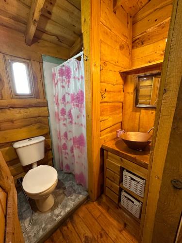 a bathroom with a toilet and a sink in a log cabin at Guanumby Cabañas in Tandil