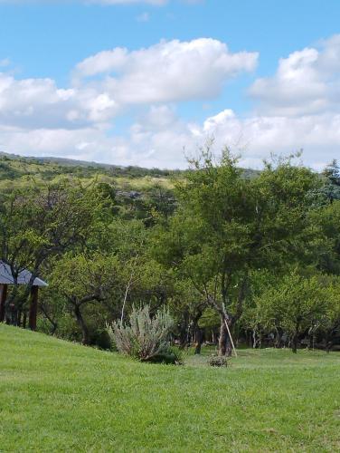 a grassy field with trees and a hill in the background at Complejo Cerro Norte in Piedras Blancas