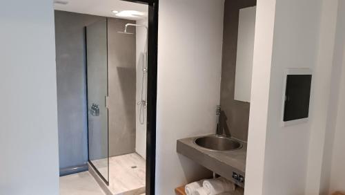 uma casa de banho com um chuveiro, um lavatório e um espelho. em Casa Roca mdq em Mar del Plata