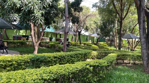 Gallery image of Jungle Green Resort, Kiutine in Meru