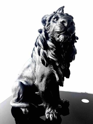 Photo de la galerie de l'établissement Wander Saint Ouen, à Saint-Ouen