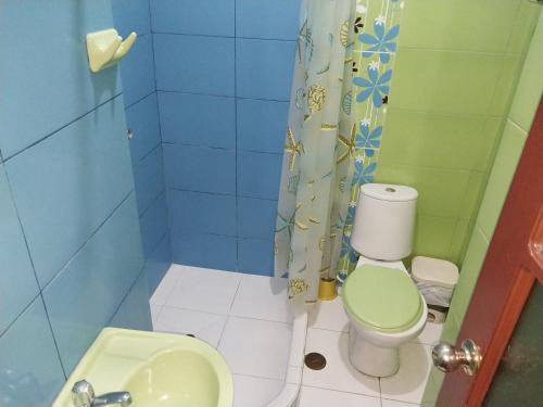 La salle de bains est pourvue de toilettes vertes et d'un lavabo. dans l'établissement Depa - 204, à Moyobamba