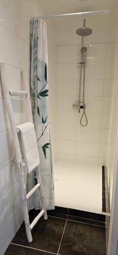 La salle de bains est pourvue d'une douche blanche avec une échelle. dans l'établissement Maisonnette cosy avec extérieur, à Mer