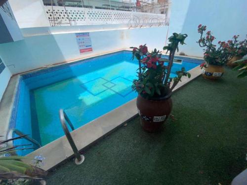 a swimming pool with two potted plants next to it at Magnifique Appart OCEAN BLEU in Dakar