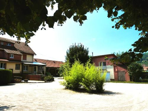 a house with a bush in the middle of a driveway at Merveilles88 in Rupt-sur-Moselle