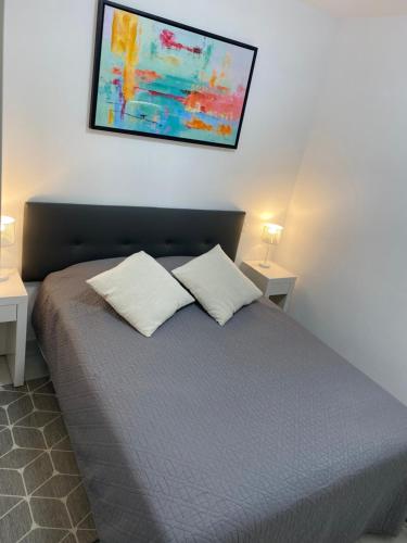 1 dormitorio con 1 cama con 2 almohadas y una pintura en la pared en COEUR DE CALVI, en Calvi