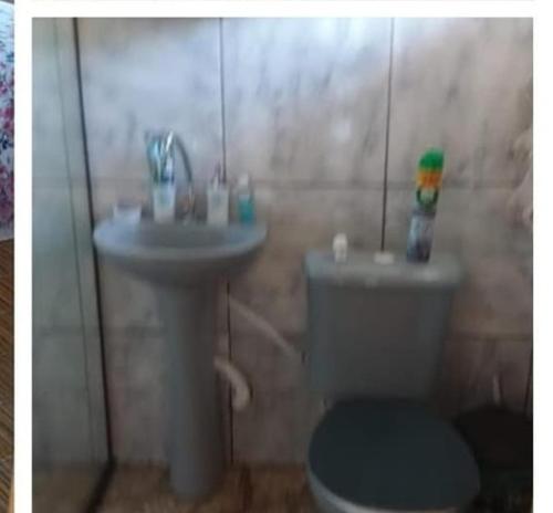 een badkamer met een toilet en een wastafel bij Recanto Itália Brasil in Biritiba-Mirim