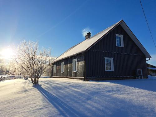 a black barn with a tree in the snow at ZELTA KROGS in Brekti