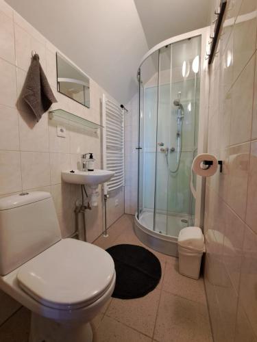 a bathroom with a toilet and a shower and a sink at ZELTA KROGS in Brekti