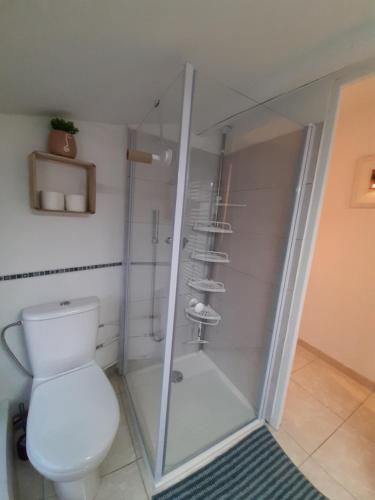 W łazience znajduje się toaleta i przeszklony prysznic. w obiekcie Un nid sur les toits avec terrasse w Apt