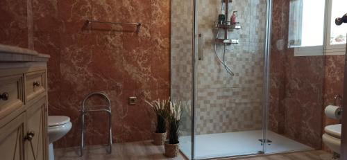 een badkamer met een douche, een toilet en een wastafel bij Suite Mirando al Guadiana in Ayamonte