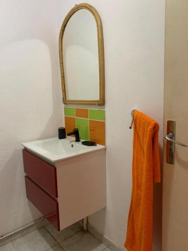 a bathroom with a sink and a mirror at La Terrasse du Houelmont in Gourbeyre