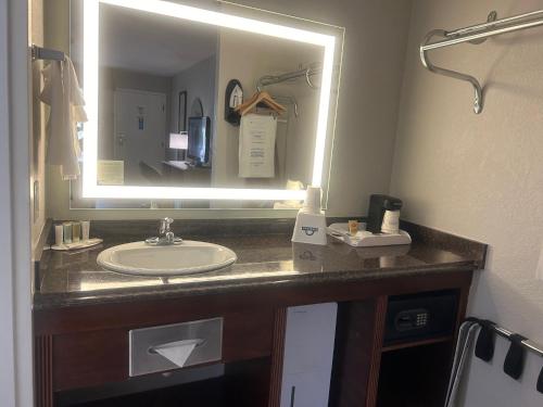 a bathroom with a sink and a mirror at Days Inn by Wyndham Port Charlotte Town Center in Port Charlotte