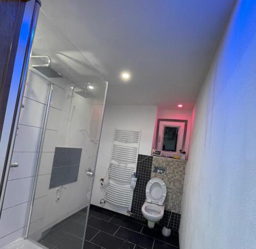 a bathroom with a shower and a toilet at GraceHomes (Entry to Blackforest) in Jettingen