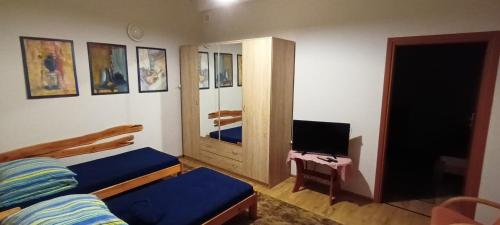 a bedroom with a bed and a tv in it at Alfa 2 apartament 3 in Bystra
