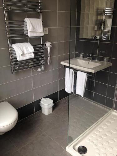 une salle de bain avec un lavabo, des toilettes et un miroir dans l'établissement Hôtel François 1er, à Saint-Dizier