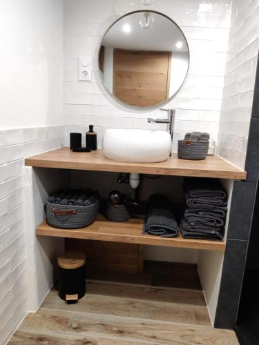 une salle de bain avec un lavabo et un miroir dans l'établissement Le chaleureux loft 1 minute du tram, à Lingolsheim