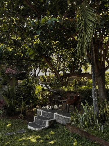 a park with a bench and a table under a tree at The Hamsa in Lovina