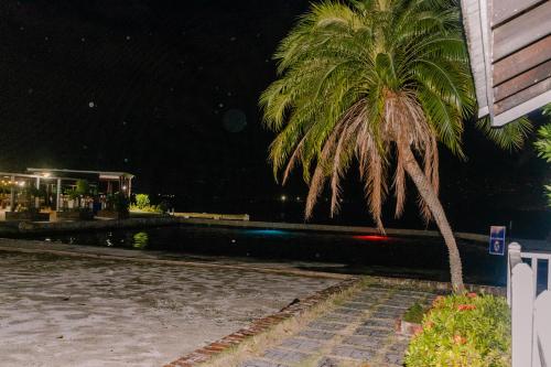 a palm tree next to a swimming pool at night at Grand Hotel Excelsior Port Royal in Kingston