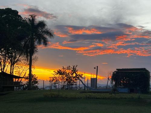 un coucher de soleil avec un palmier dans un parc dans l'établissement Cabaña Bamboo House, à Calarcá