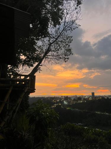 - une vue sur le coucher de soleil d'une ville avec un arbre dans l'établissement Cabaña Bamboo House, à Calarcá