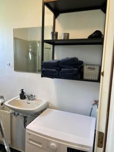 a bathroom with a sink and a mirror at Lakeside Apartments in Egilsstadir