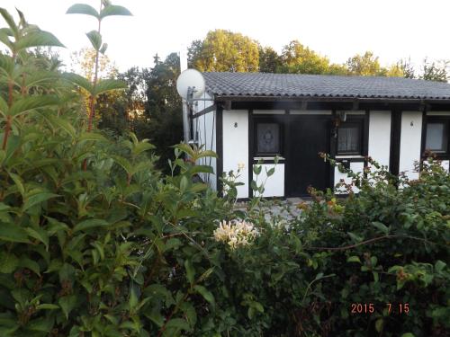 ein weißes Haus mit einer schwarzen Tür und einigen Büschen in der Unterkunft Ferienhaus-Hotel "Zur Grünen Oase" in Adelmannsfelden