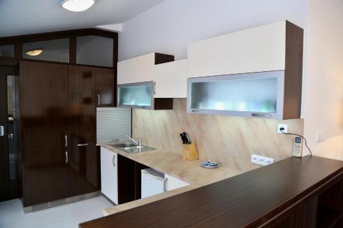 Kuchyň nebo kuchyňský kout v ubytování Apartments Kroměříž