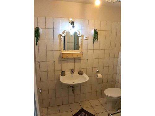 a bathroom with a sink and a toilet at Country house on the Priepertsee in Priepert