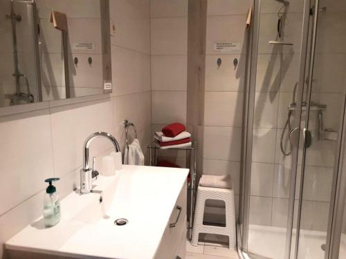 a bathroom with a sink and a shower at -Heaf half between North and Ostsee U Schlei in Ellingstedt