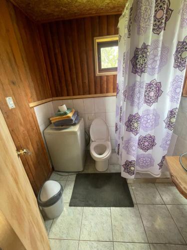 y baño con aseo y cortina de ducha. en Cabaña con acceso a tinaja, en Castro