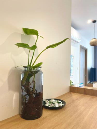a glass vase with a plant in it next to a plate at DU’s Happy Vinhomes Quận 9 in Long Bình