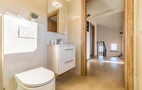 een badkamer met een wit toilet in een kamer bij 3 Bedroom Nice Home In Krsan in Kršan