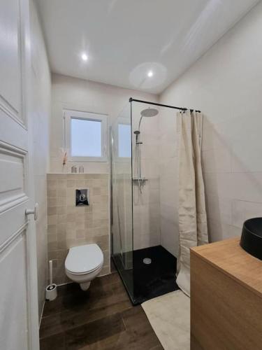 a bathroom with a toilet and a shower at Charmant 3 pièces in Choisy-le-Roi