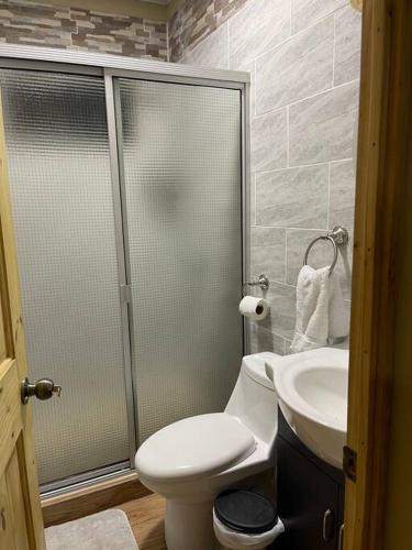 a bathroom with a shower and a toilet and a sink at Lomeli’s Home, 5 minutos del Tunco in La Libertad