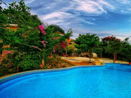 Magamomo的住宿－Castle View Hotel Samal，一座树木繁茂的庭院内的游泳池