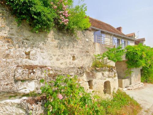 Gîte tout confort avec grand jardin, terrasse ombragée, animaux acceptés, proche de Loches - FR-1-381-560