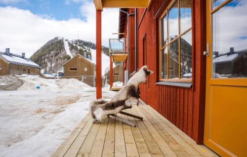 a dog standing on a porch looking out of a window at Beautiful Apartment In Funsdalen With Wi-fi in Funäsdalen