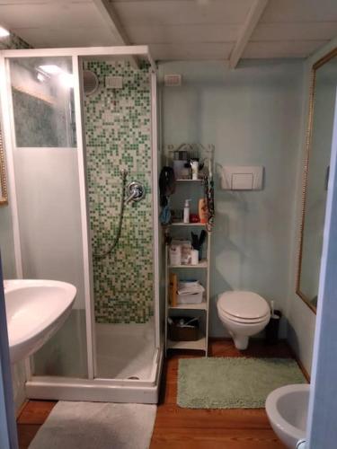 a bathroom with a shower and a toilet at Spirit in the sky, a tiny house on the hills in Zago