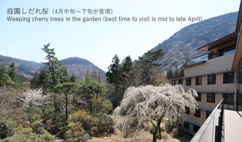 a sign that readsying cherry trees in the garden lost time to visit at Hakone Kowakien Hotel in Hakone