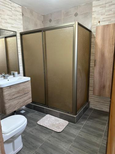 e bagno con doccia, servizi igienici e lavandino. di Casa cómoda, grande y agradable. ad Arica