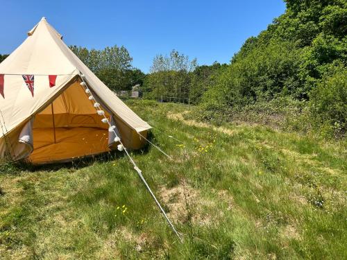 普爾伯勒的住宿－Sussex Bell Tent，田野中间的帐篷