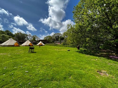 a field with tents and a chair in the grass at Sussex Bell Tent in Pulborough
