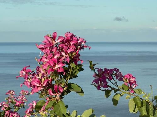 a bouquet of flowers with the ocean in the background at Infinity Luxury Villa - Stunning Sea and Piton Views in Soufrière