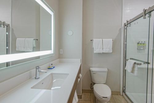 y baño con lavabo, aseo y ducha. en Holiday Inn Express & Suites Corpus Christi, an IHG Hotel, en Corpus Christi