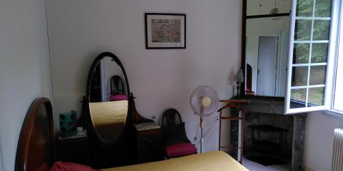 a living room with a mirror and a fireplace at Villa Lulu in Mérignac