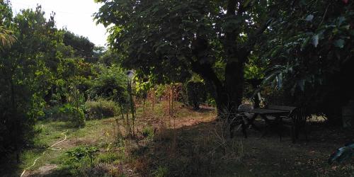 梅里尼亞克的住宿－Villa Lulu，花园里树下的野餐桌