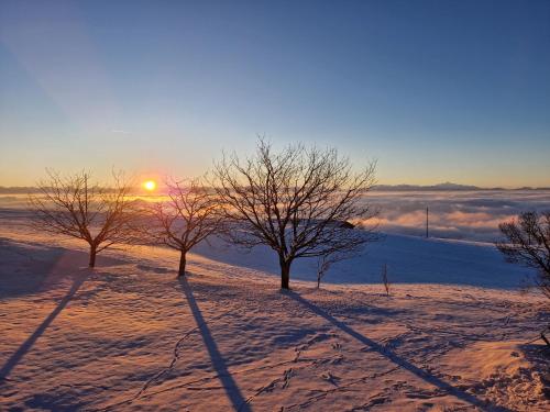 Trois arbres dans la neige avec le coucher du soleil en arrière-plan dans l'établissement Coup d'œil, à Bullet